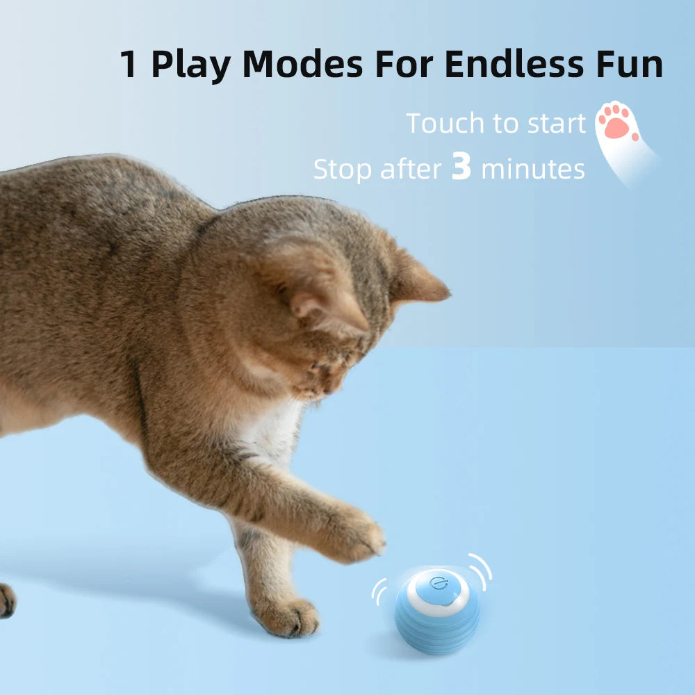 Cat Interactive Small Ball
