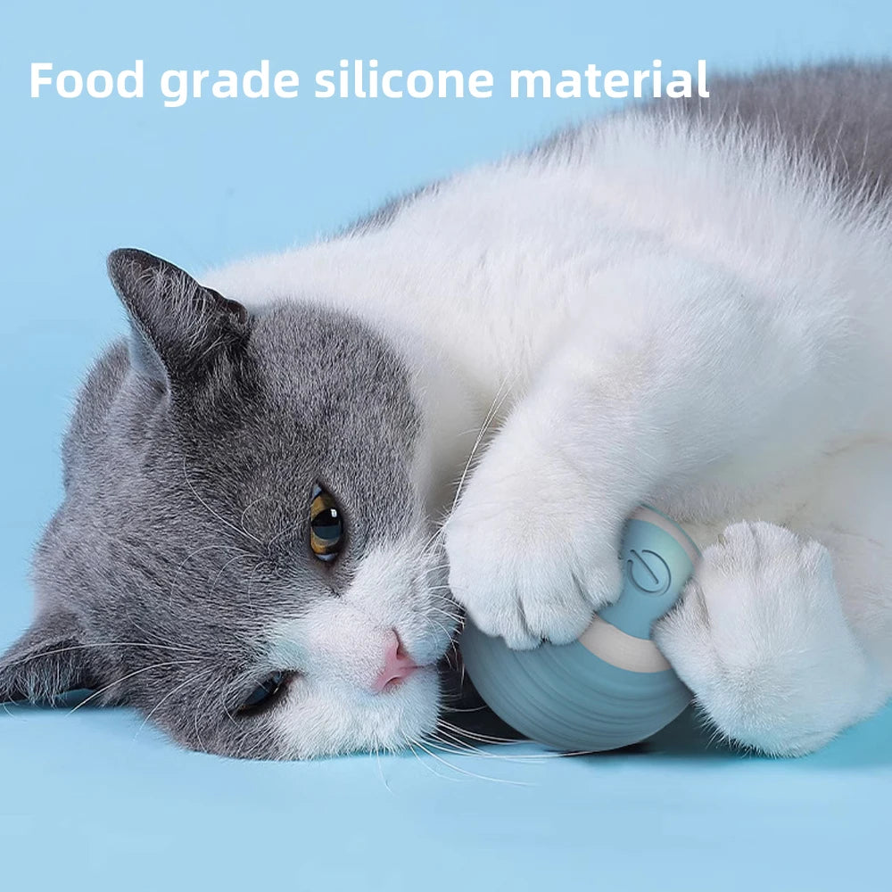 Cat Interactive Small Ball