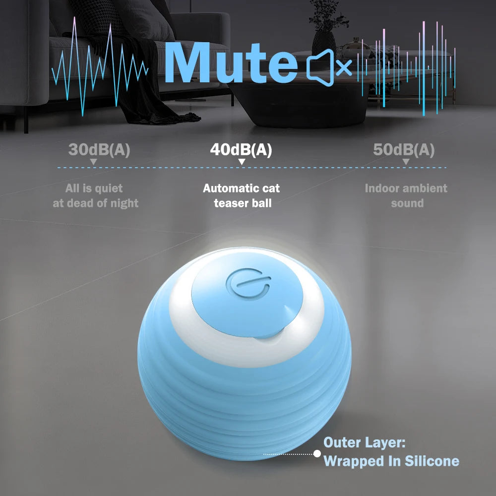 Cat Interactive Small Ball