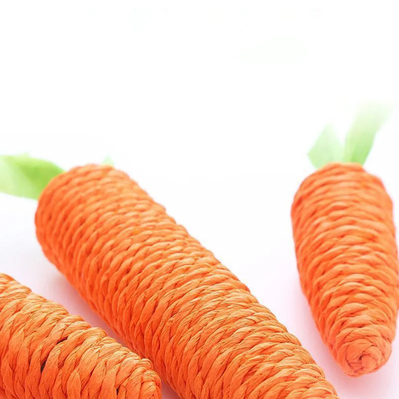 Pets Carrot Toy