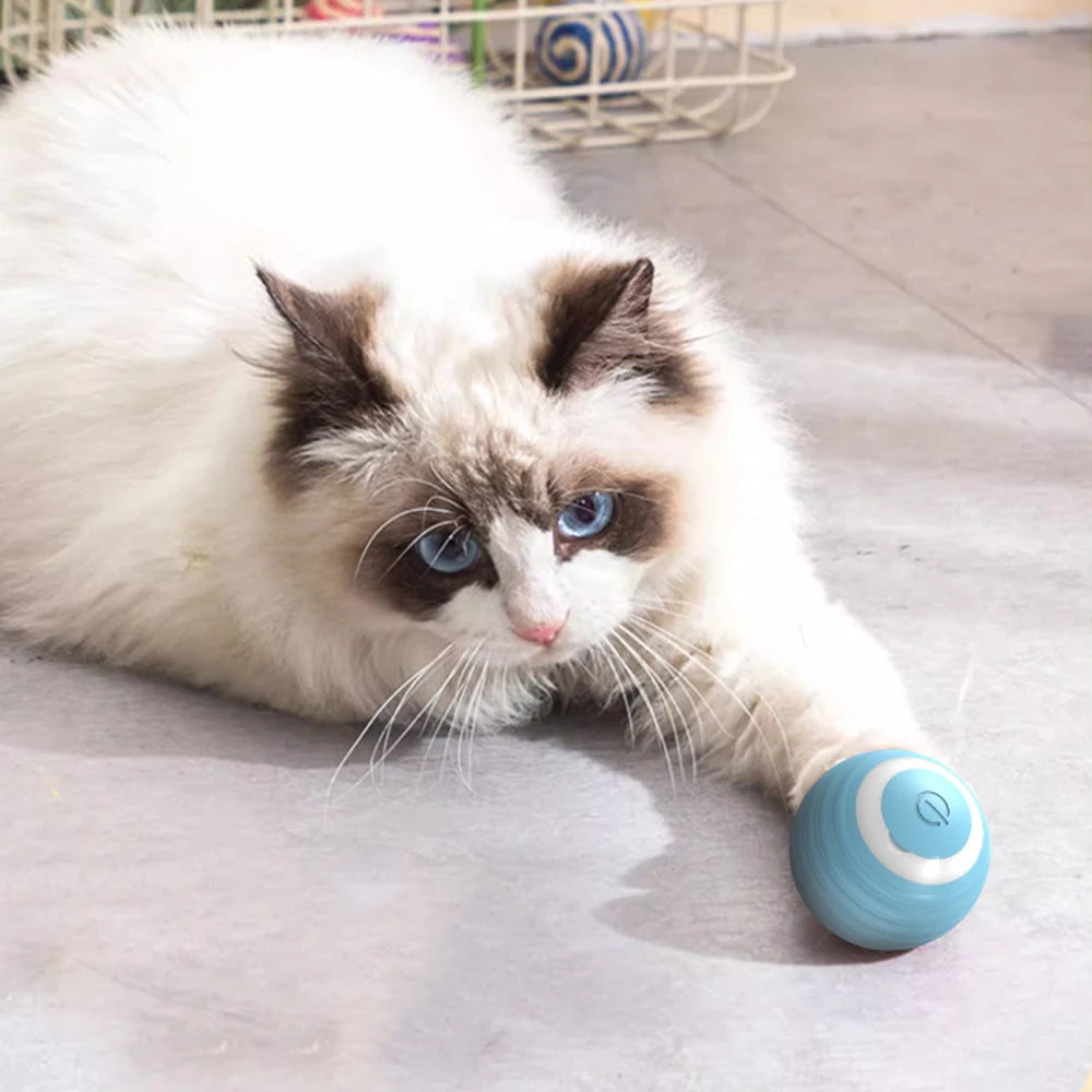Cat Interactive Small Ball