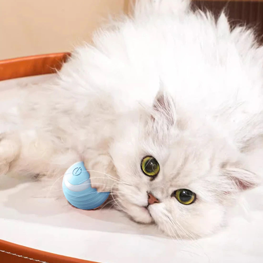 Cat Interactive Small Ball