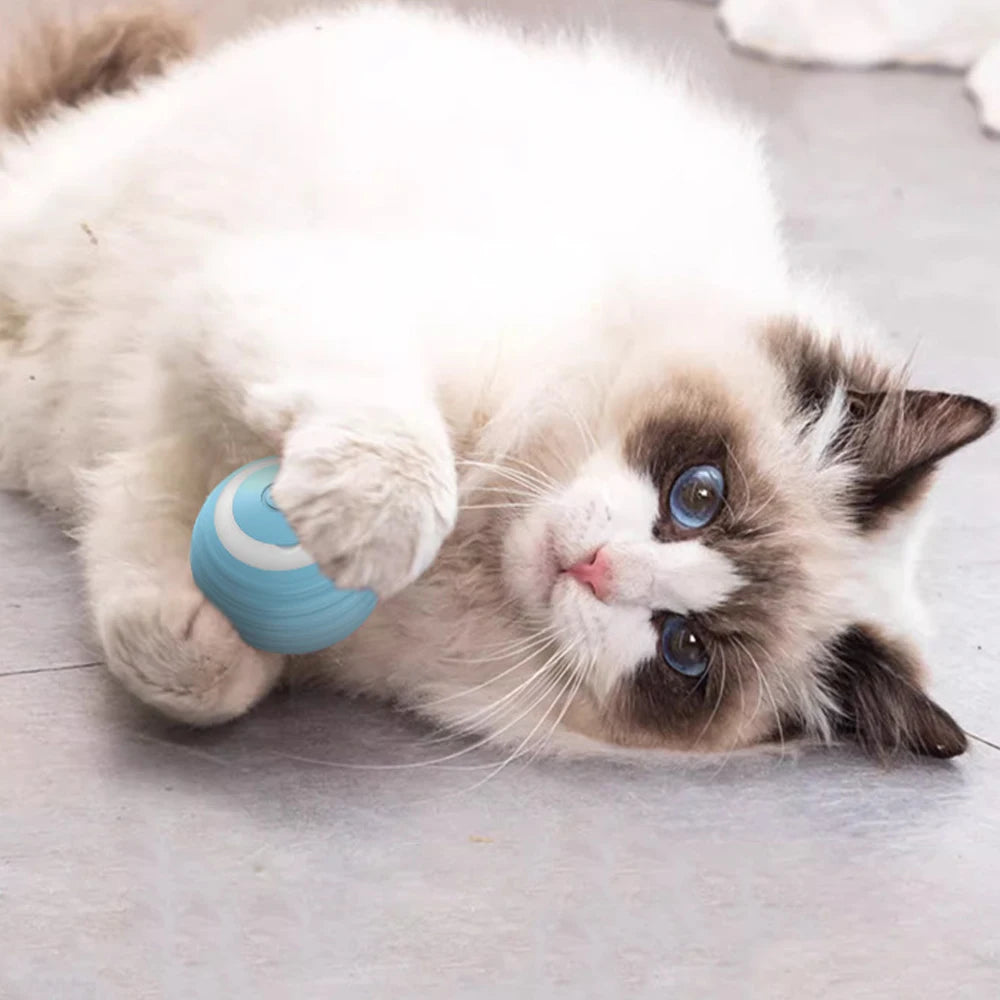 Cat Interactive Small Ball