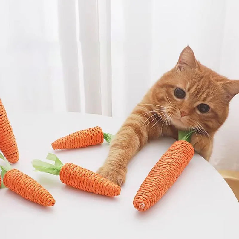 Pets Carrot Toy