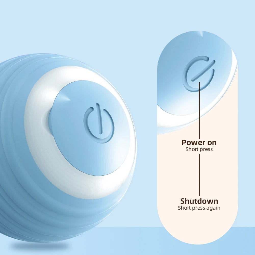 Cat Interactive Small Ball