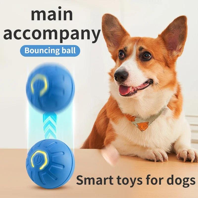 Dog Interactive Smart Ball