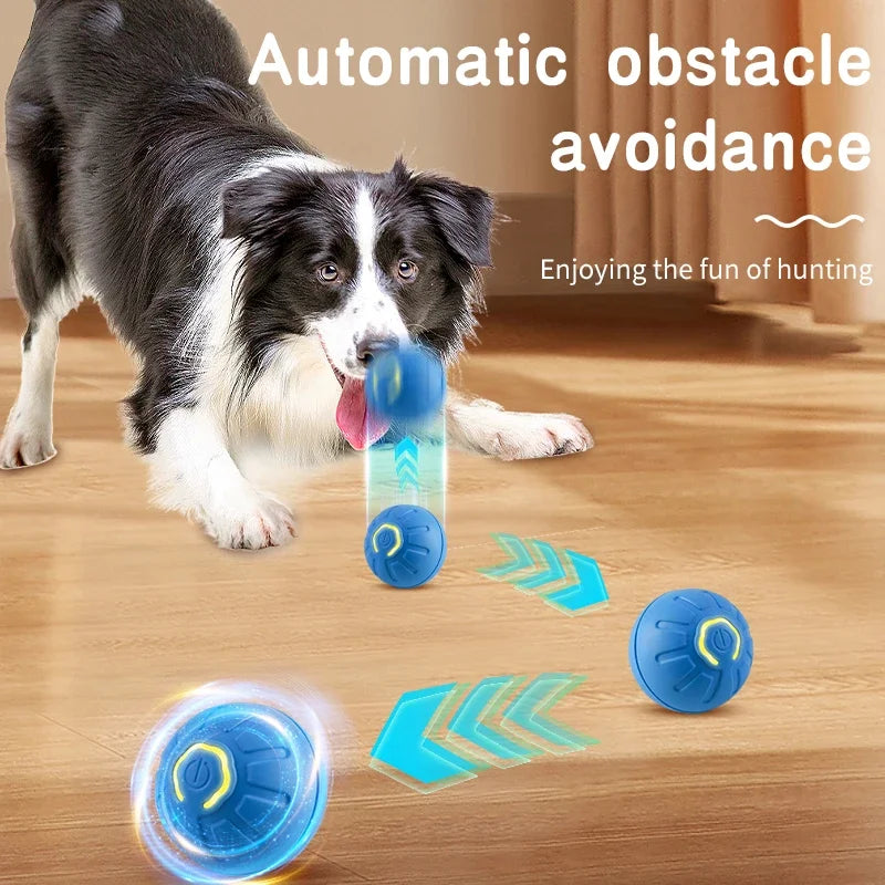 Dog Interactive Smart Ball