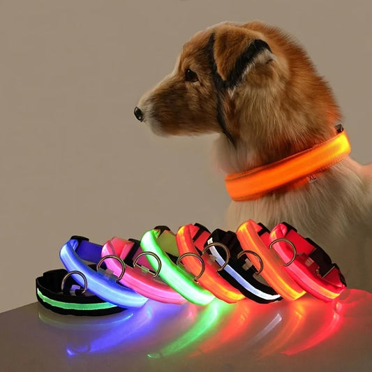 Pets Nylon LED