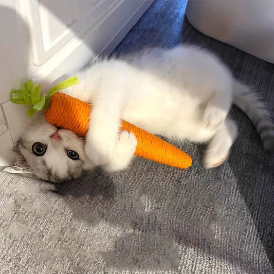 Pets Carrot Toy