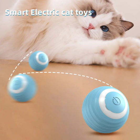 Cat Interactive Small Ball